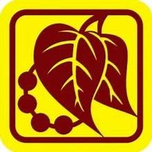 Lễ Thọ Cấp Dũng Huynh Trưởng Gia Đình Phật Tử Việt Nam